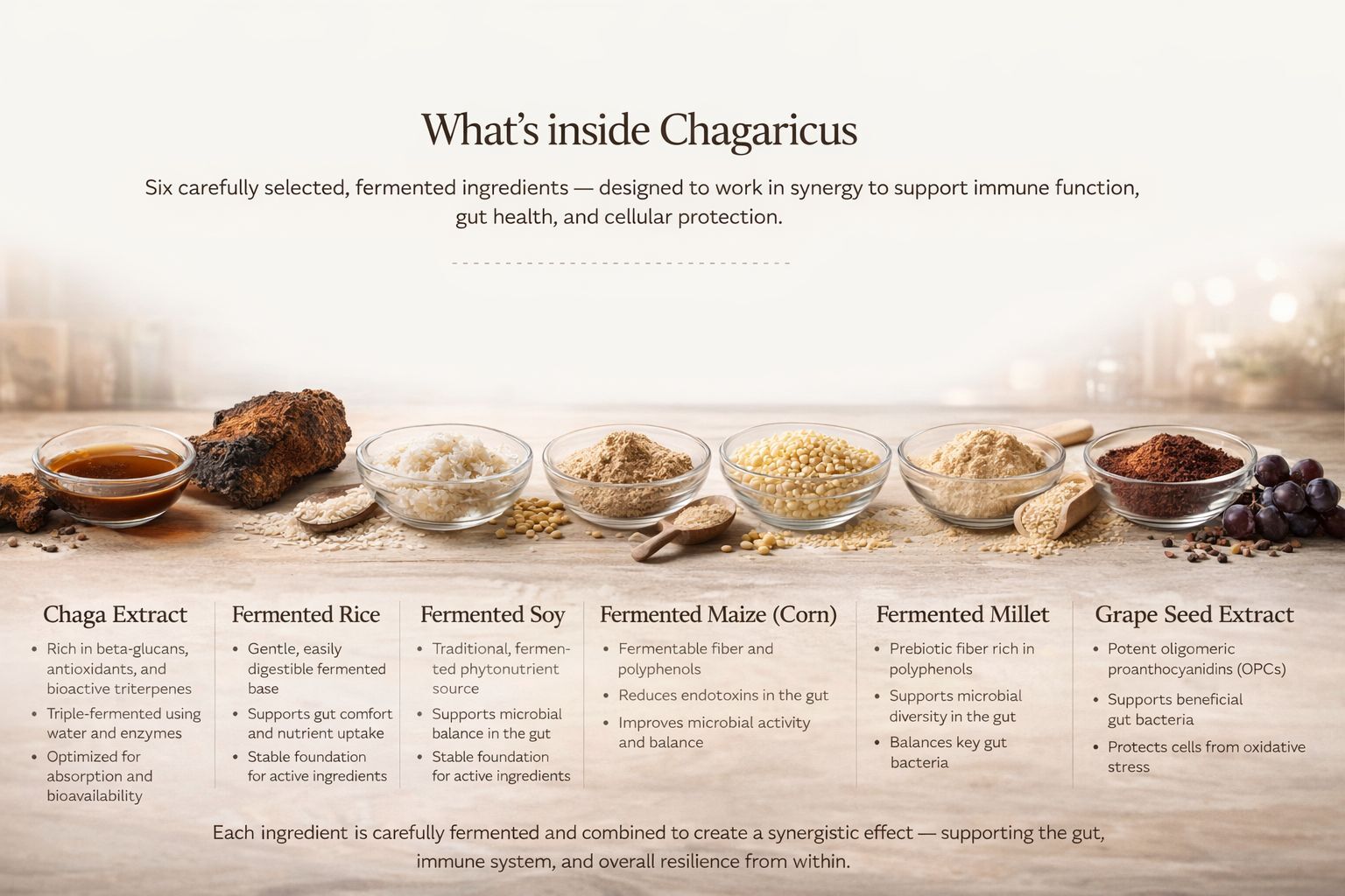 Chagaricus innholdsstoffer og kompounds